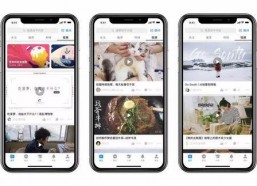 国产在线二区视频,揭秘热门视频背后的精彩故事