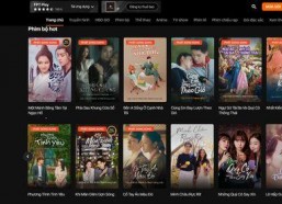 国产在视频,创新与突破的视听盛宴